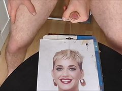 katy perry tribute