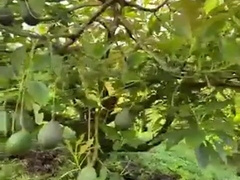 EL CAMPESINO ME COGE EN LA MONTAÑA