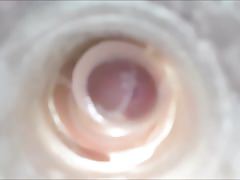 Internal cumshot compilation. 003, Semen extravaganza!