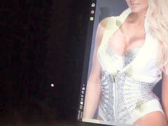 jizz Tribute Compilation - WWE Maryse