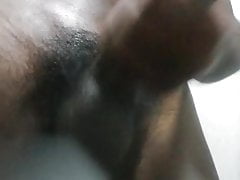 Sri Lankan Bull Masturbating