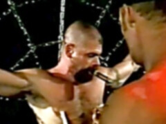 Bear, gay classic, assfuck