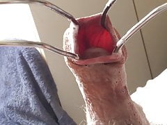 Creamy foreskin in sunshine