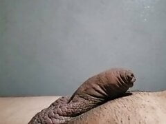 Small Dick