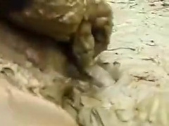 501 mud fuck