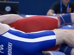 Bear wrestling