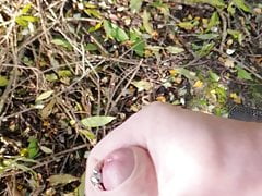 Horny in the Wood