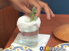 Amateur twinks are ready for anal smashing and cumshots