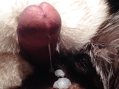 foxy fur cum
