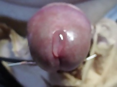 estim frenum pov precum ejac