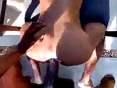 SHORT - HORSE COCK
