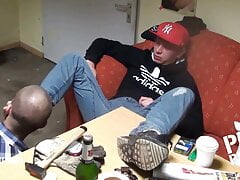 Machos cerdacos 2
