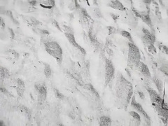 cruising Island Beach For Daddies