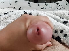 Mushroom cock 11mm uretra