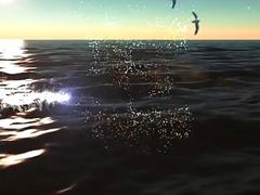 Black fuckers use their mouths on asses and cocks