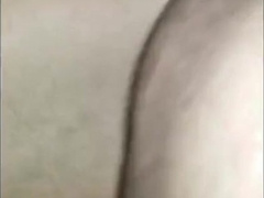 Black Bear Breeds Latino Twink 3