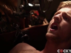 Tayte And Levi 50 Shade