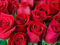 Mature big ass gay scenes featuring Desi Mazaa