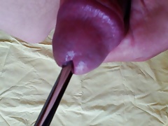 Urethral fuckin, cock sounding.