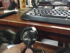 Shadow High Girl gets humped!