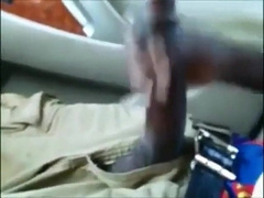 ginormous black wood draining in truck