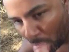 Bear sucking and eating