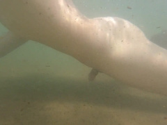 I jism just for the elation of experiencing free-for-all, nude on a public beach