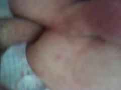 Craigslist Breeding 4