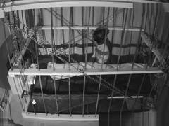 The Cage Cam May 7 2018 0722 a new day in the life of slave andrew