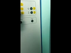 QUICK WANK IN THE ELEVATOR. I realized my vulgar dream
