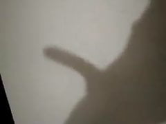 Shadow Game
