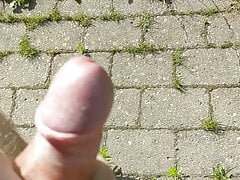 En tur i haven