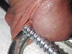 cbt27