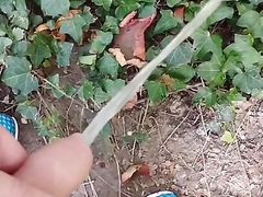 Piss Mix for the Requests and in the End Cum