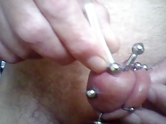 ' Flexi ' and fun