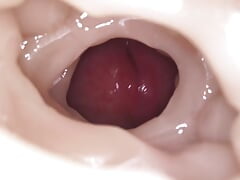 Fleshlight Fuck with Creampie
