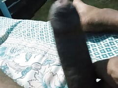 Indian big cock