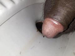 Land masti kiya