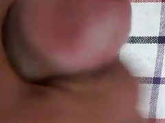 Sri lanka White cock 6.5 inch