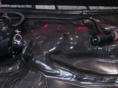 V11 Vv11 [pp Training]