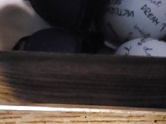 Cumming in my sister inlaws bra