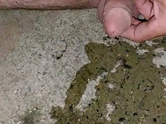 Morning Piss Outside Slo-Mo
