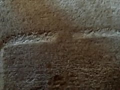 Pissing on my bedroom carpet
