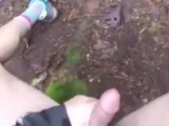 A walk in the wood with happy end