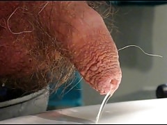 Tipitou's little soft uncut having a pee