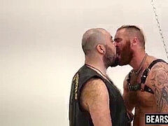 unshaved hefty grizzly fucks his bottom bitch raw on the sex swing