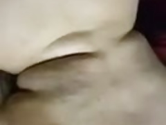 CHUBS 567