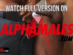 Alphamales.com - Pic studio fuck-fest