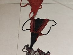 Tribute auf Bild und Slips und Tanga