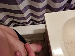 Young White Cock